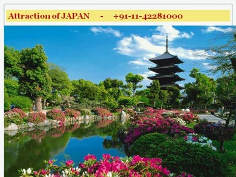 Holidays in Japan | Travel to Japan | Japan Trips