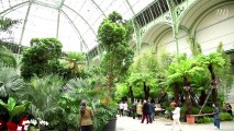 L'Art du Jardin au Grand Palais