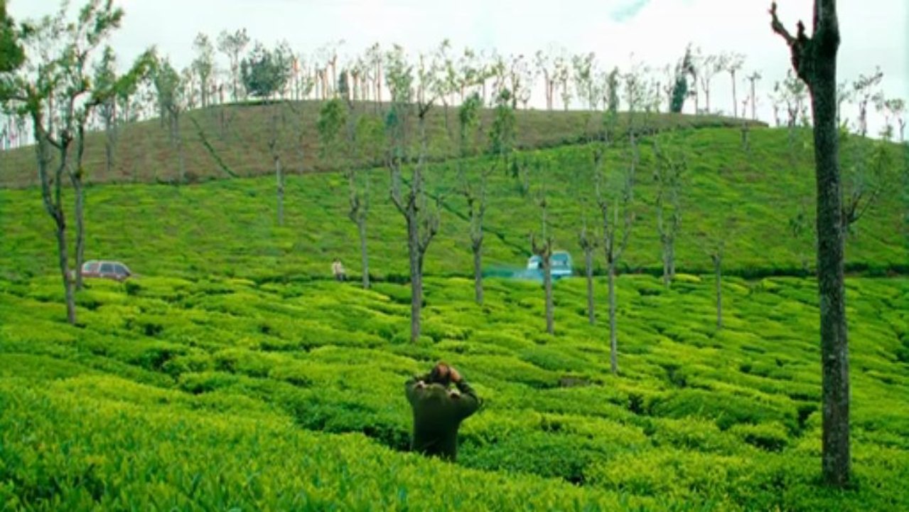 Barfi!.2012.TRsub.LUNA-003