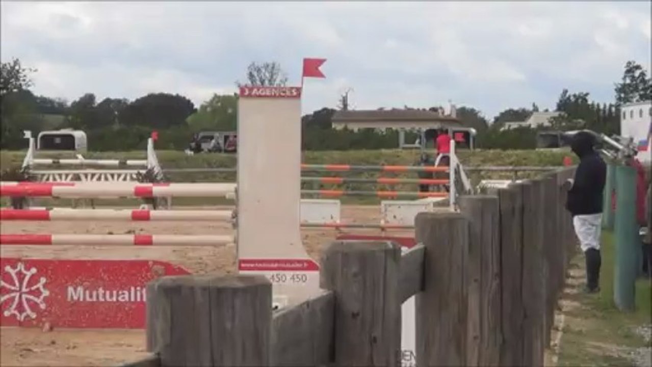 gp130 muret mai 2013