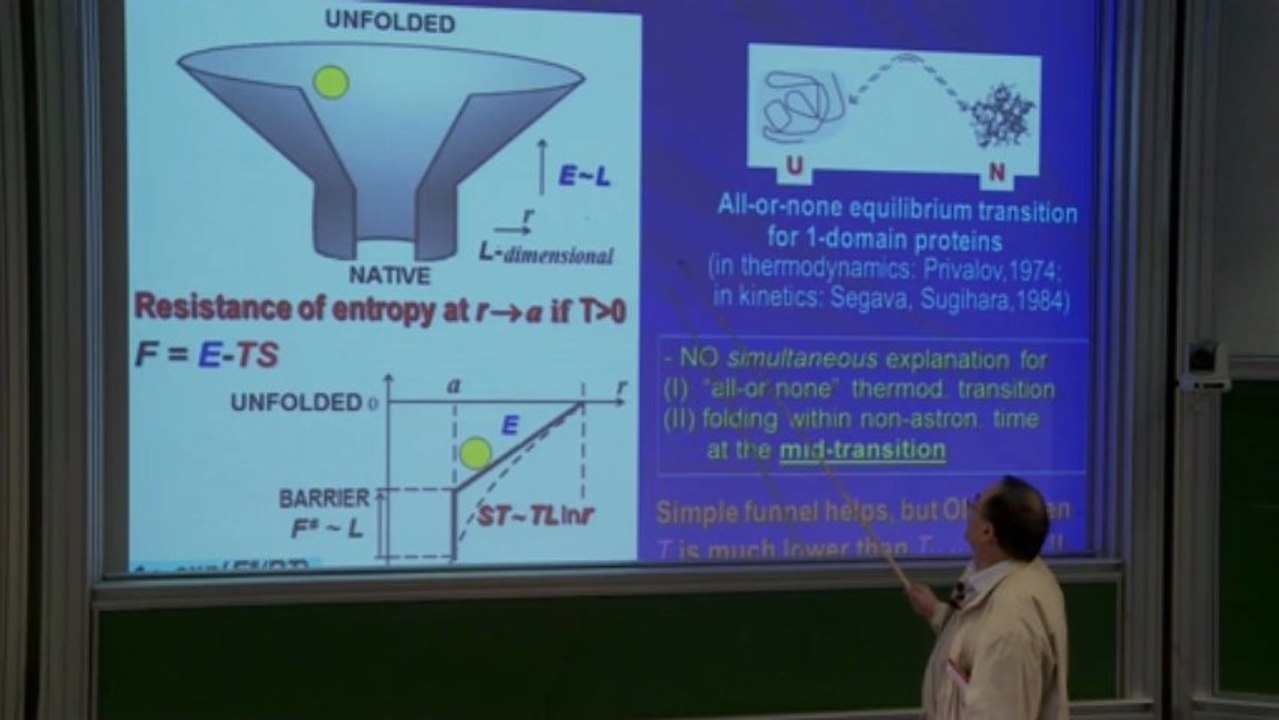 Golden triangle (Alexeii Finkelstein)