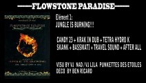 REPORT FLOWSTONE PARADISE1 / DJ KRAK IN DUB / BY VJ NADPUNKETTES DES ETOILES