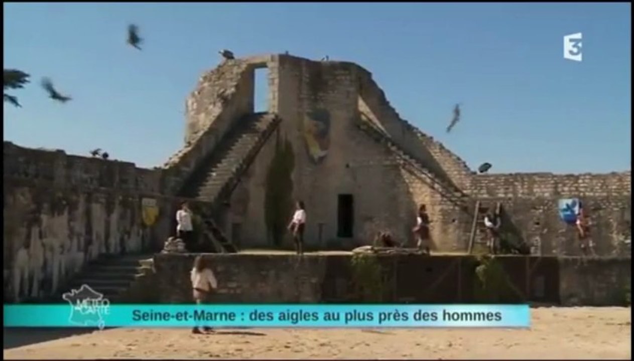 Les Aigles de Provins - France 3 - La météo à la carte du 8/5/13