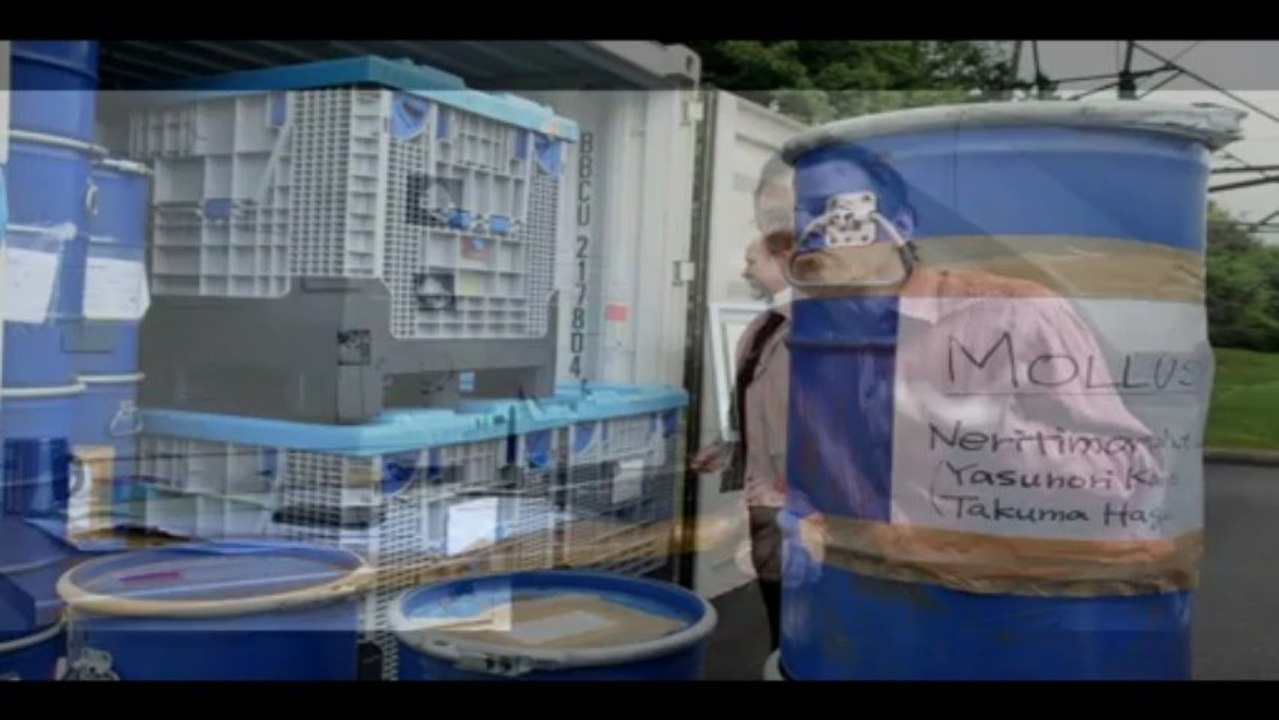 Le devenir des spécimens récoltés