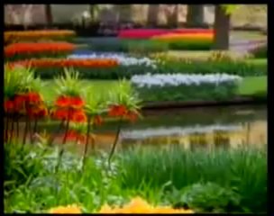 4  Gözdeki mucize  Gözün kusursuz tasarımı Harun Yahya Belgeseli