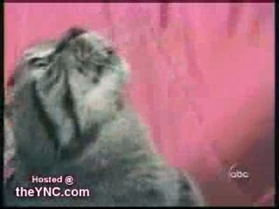 Flurl-dot-com-136231-z9xu3hkcfv58