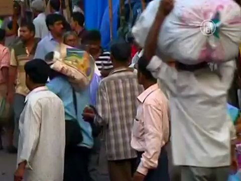 Индийский транспорт не может не гудеть