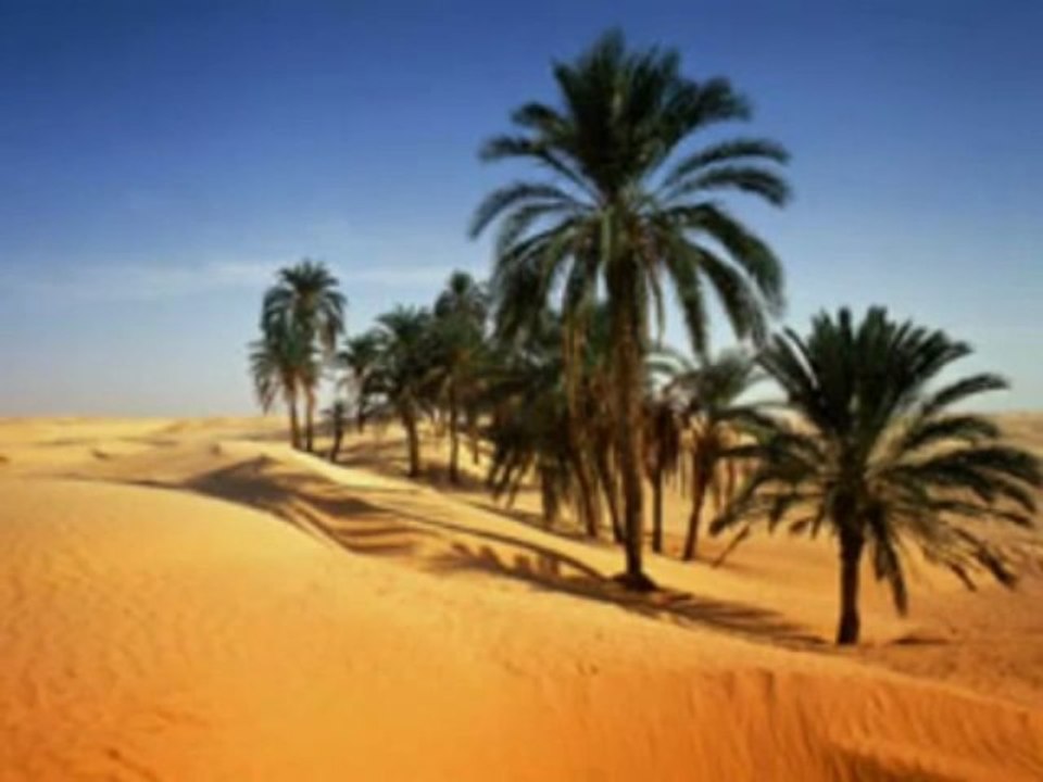 Ainsi fut notre prophète  صلى الله عليه وسلم