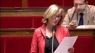 Adoption finale de la loi de refondation de l'Ecole : intervention de Françoise Dumas (2)