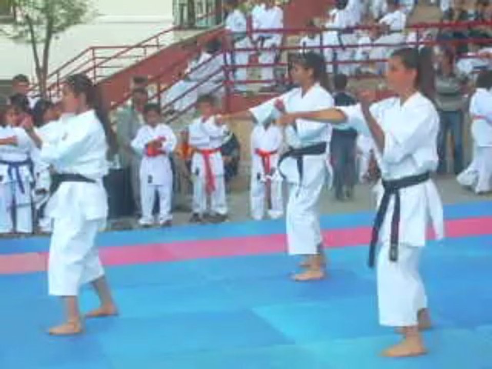 seydişehir Karate 04.06.2013