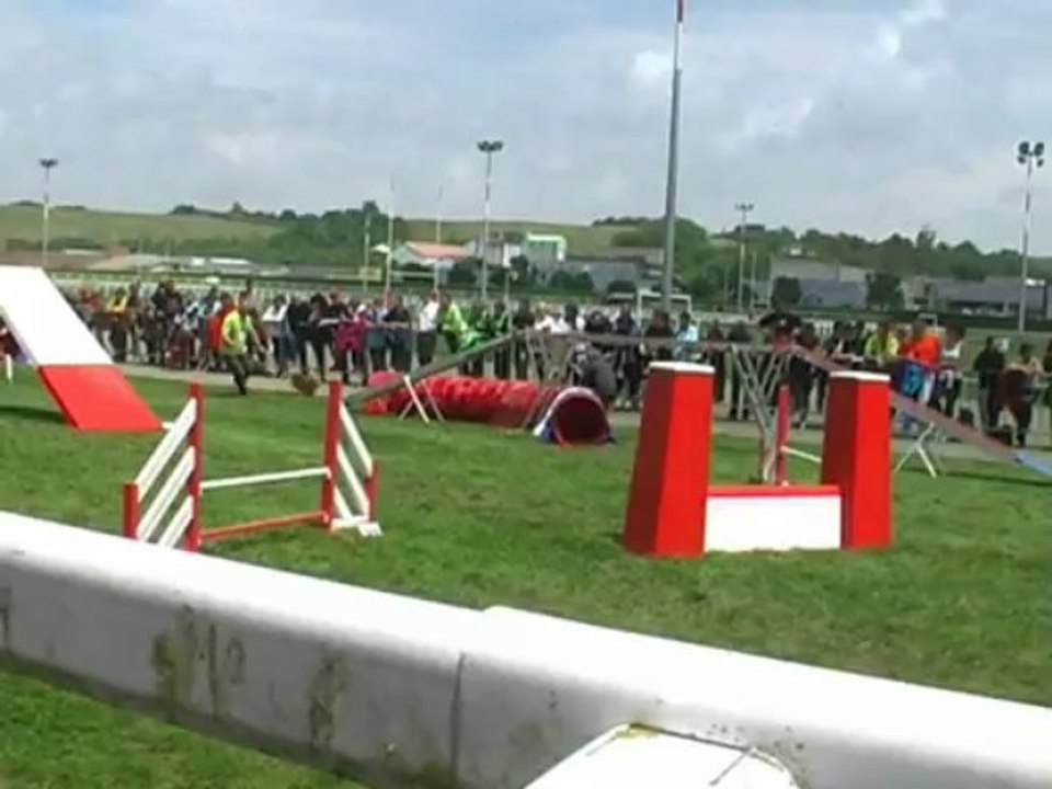 Agility1