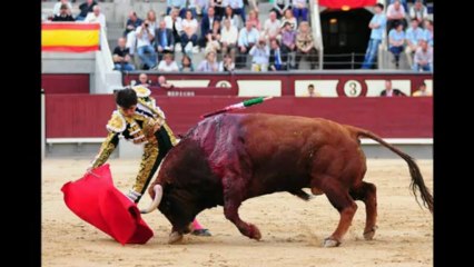 LA PRIMERA DE ARTE Y CULTURA EN FOTOS