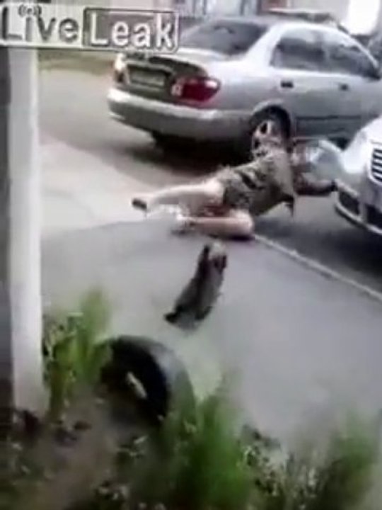 Դժոխային կատու