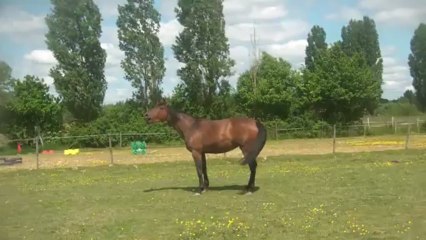 02.06.2013.zzzi.dipti