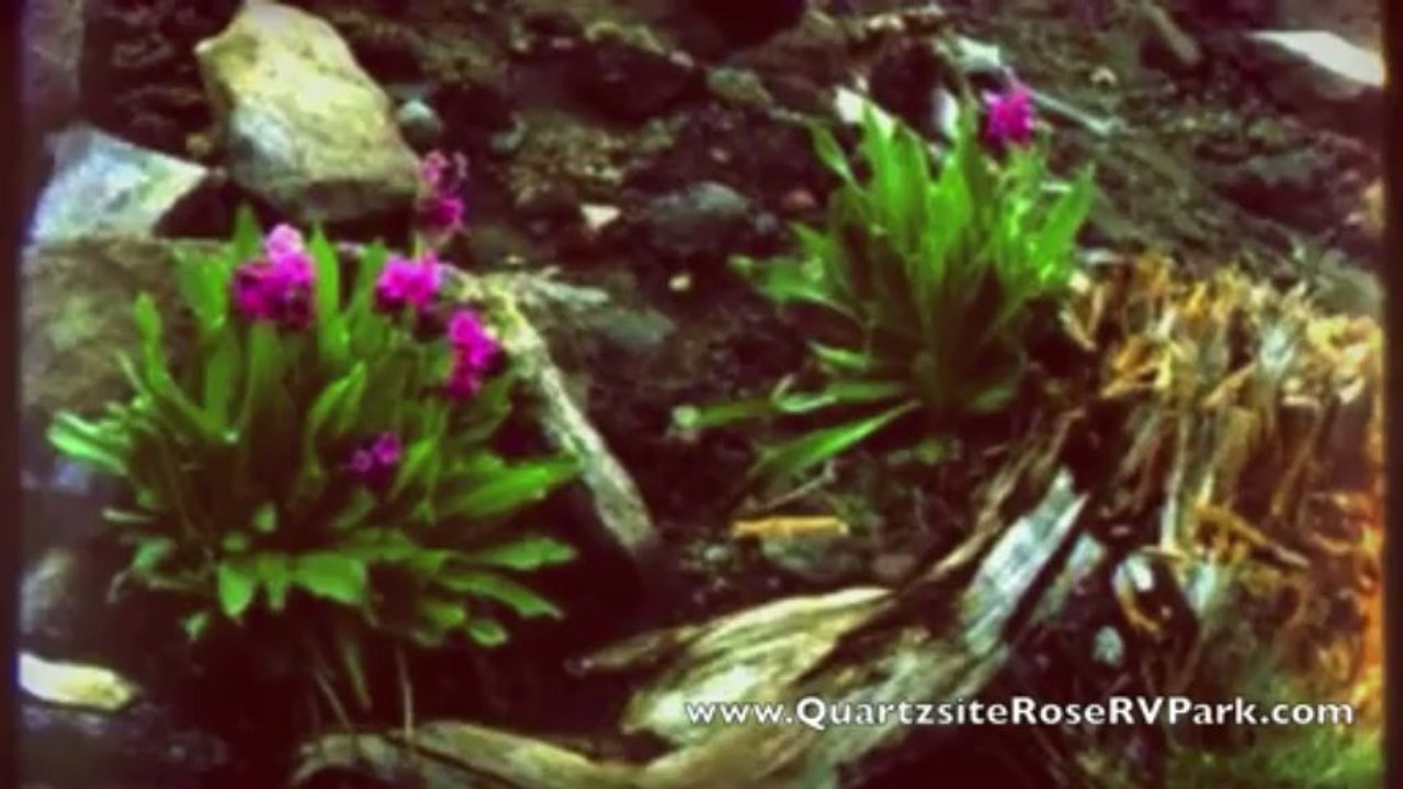 RV Camping in Arizona - Quartzsite Arizona Camping