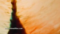 Stock Video - Stock Footage - Video Backgrounds - Fluid Motion 0103