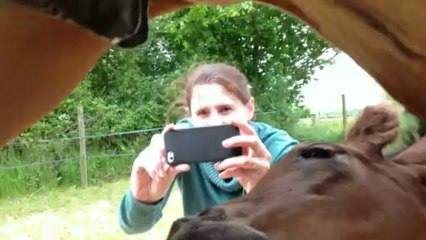 02.06.2013.zzzz.dipti