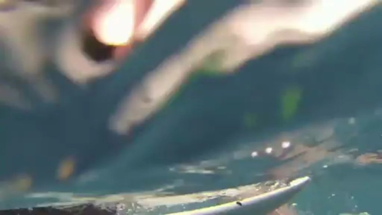 ONE & ONLY: KOLOHE ANDINO