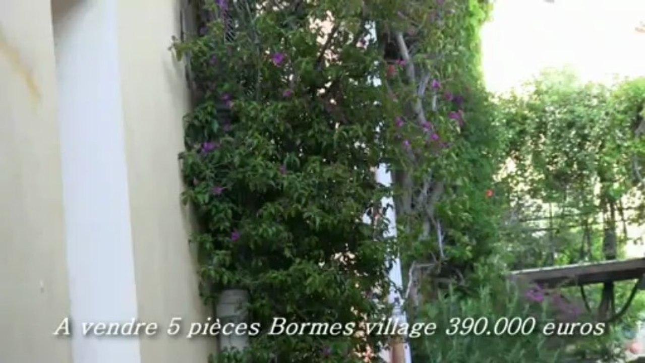 APPARTEMENT A VENDRE BORMES VILLAGE - BORMES LES MIMOSAS