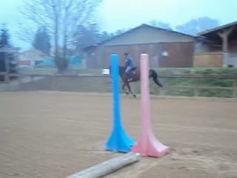 A vendre hongre SF 6 ans pret 120/125