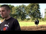 JA de Vendée - l'agriculture en Vendée