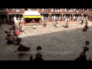 Shana Cham - The black hat dance