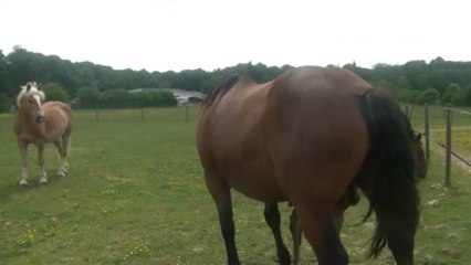 03.06.2013.zzb.dipti