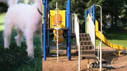 Jefferson Hills Apartments in Framingham, MA - ForRent.com