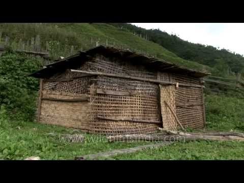 Thatched bamboo hut in central Bhutan's Bumthang