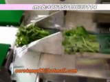 Automatic vegetable packaging machine