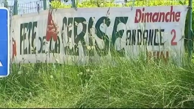 Les cerises victimes du mauvais temps