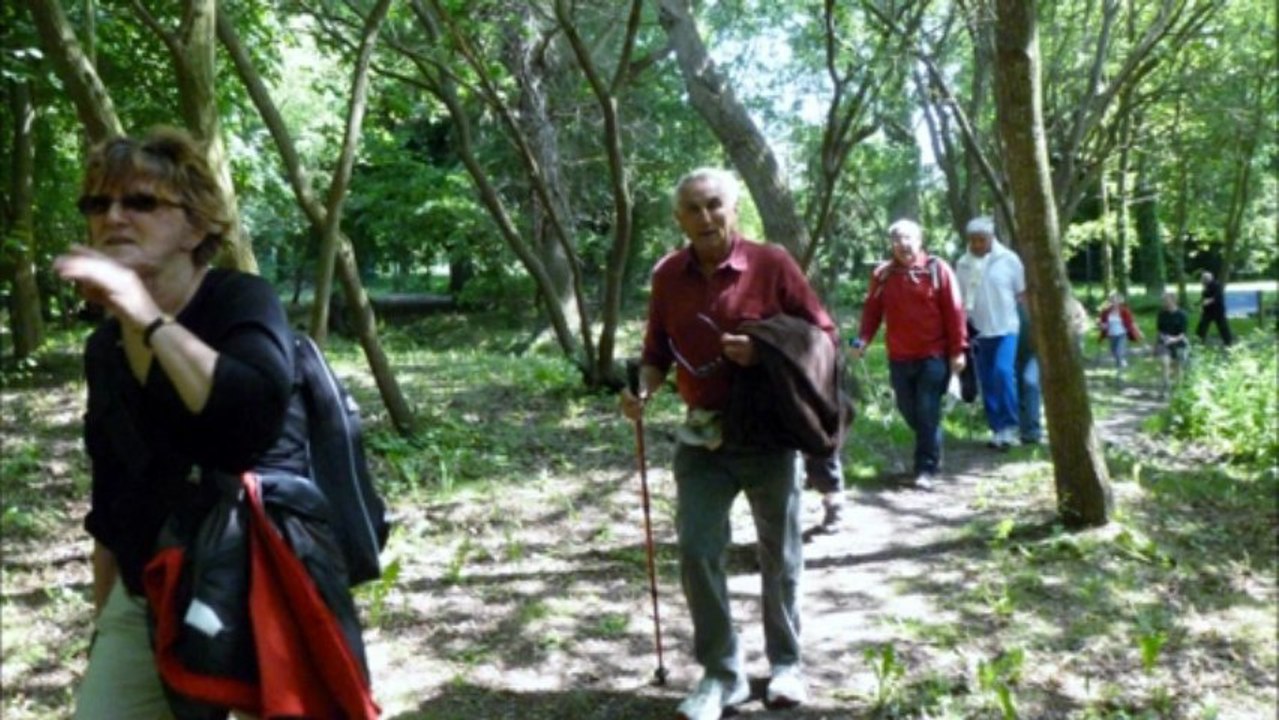 LANCIEUX SAINT BRIAC