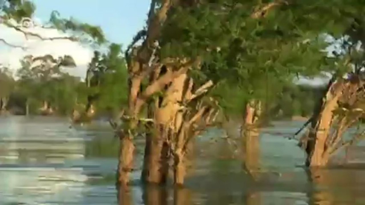 Mekong 'im Stau' - Irrsinn oder Fortschritt? | Global 3000