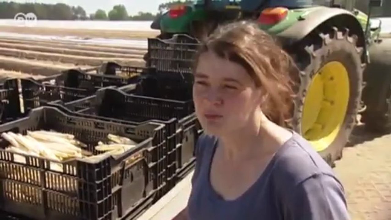 Zanderfilet mit Spargel | Euromaxx a la carte