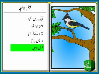 Bulbul Ka Bacha (Urdu Poem for Kids)