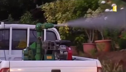 On compte désormais près de 100 cas de dengue depuis le début de l'épidémie en février