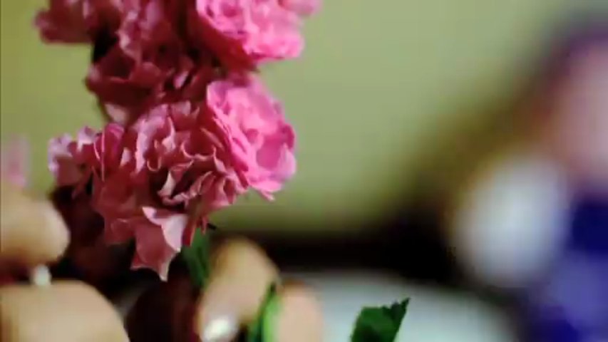 Promos (Archival Footage)