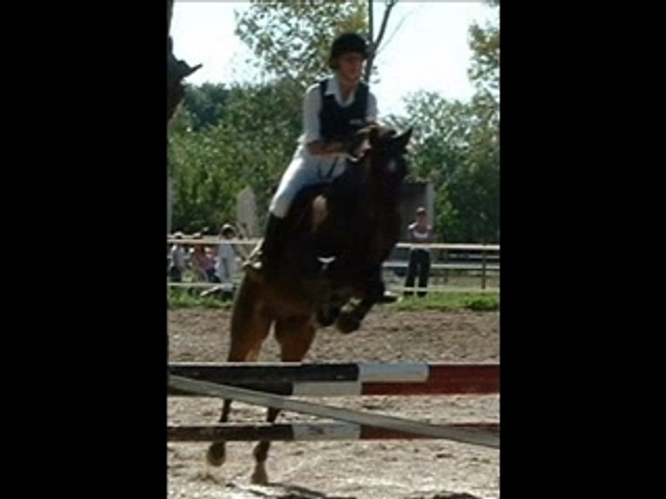Les chevaux qui ont marqué ma vie :)