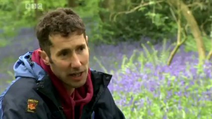 BBC Midlands Today - 3/6/13