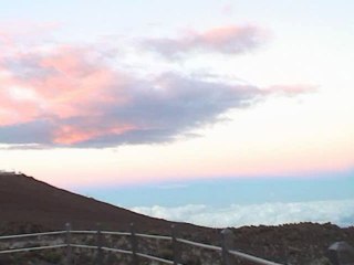 Cordless Phones Harmful, Cell Phone Shield