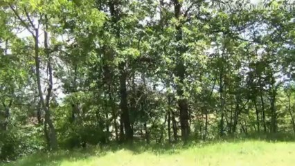 Tovoion News Channel ΠΕΡΙΗΓΗΣΗ ΣΤΟ ΒΟΪΟ-ΣΤΗΝ ΠΕΡΙΟΧΗ ΤΩΝ ΟΝΤΡΙΩΝa12 4-6-2013