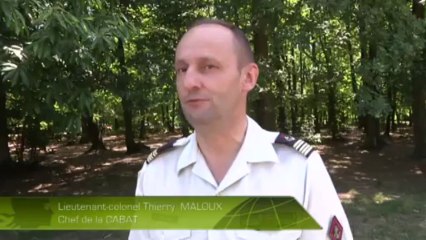 Maître de chien - mai 2011