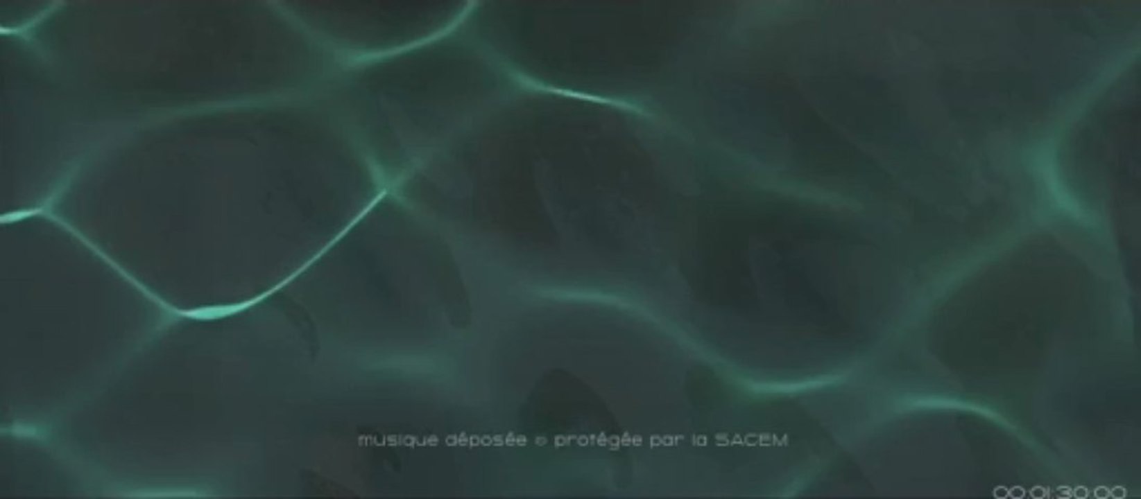 Focus-part.2