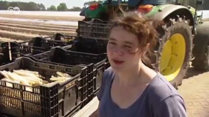 شرائح السمك مع الهليون | يوروماكس