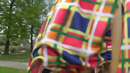 Ecolo, pas écolo, tu manges bio ?