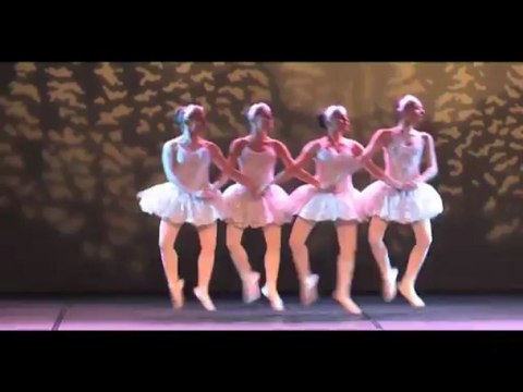 Extraits Gala Ecole de Danse Aulnoye Aymeries 2 juin 2013