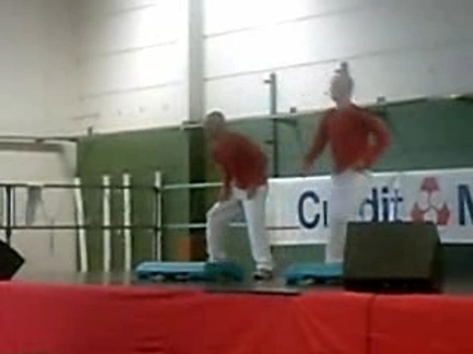 fontainebleau  2006 Step Twin