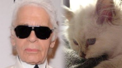 Karl Lagerfeld Makes Offhand Comment About Marrying His Cat