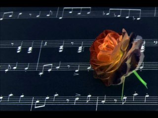 Mean Ney snae,Bojea Snae,