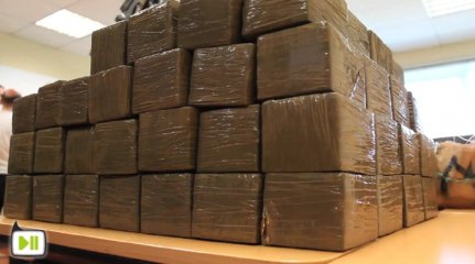 Alsace : shit, coke, armes de guerre, vols et voitures de luxe